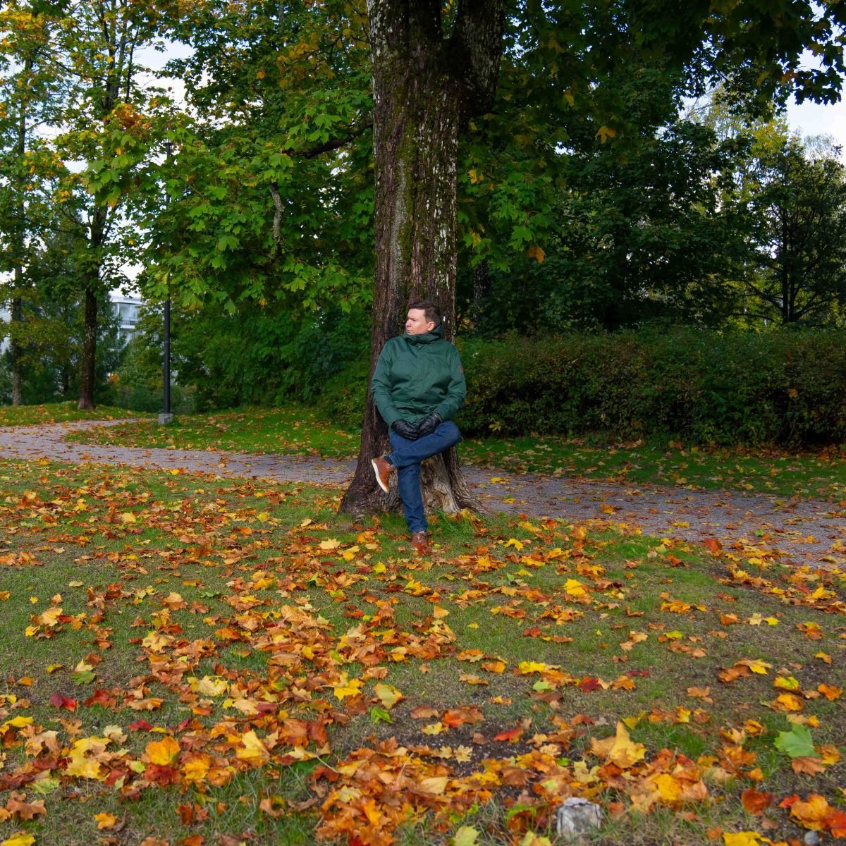 Jaakko_puu