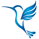 VM IT favicon