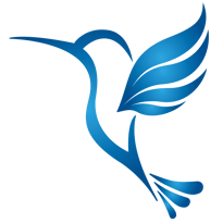 VMIT_sininen kolibri