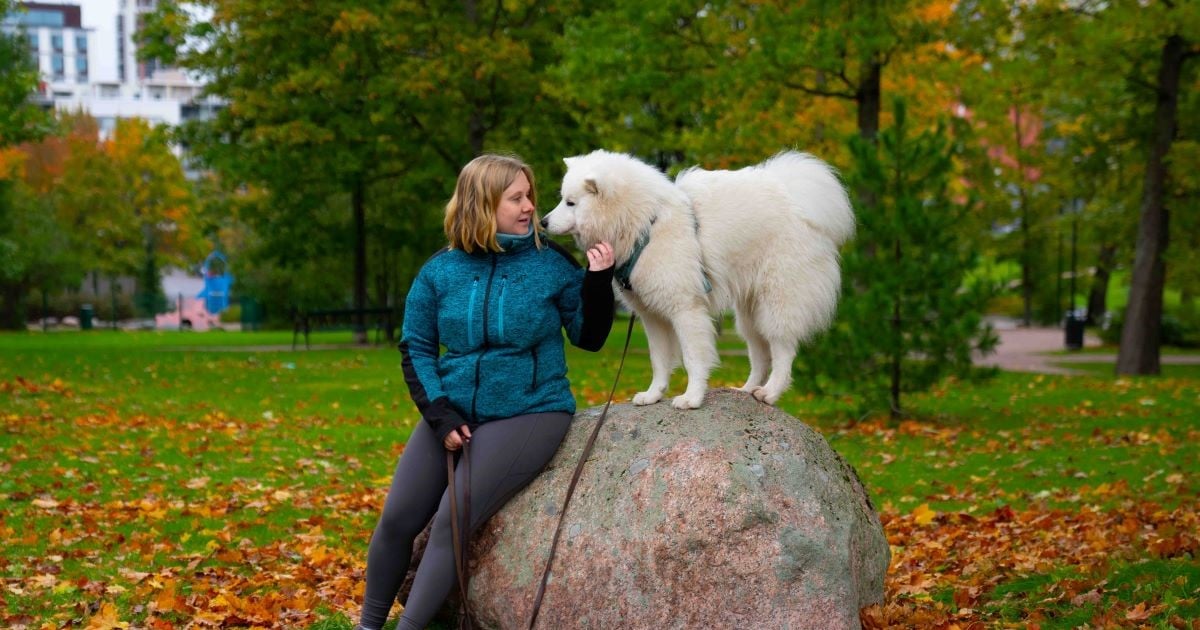 Jenni_Kuutti_nenät