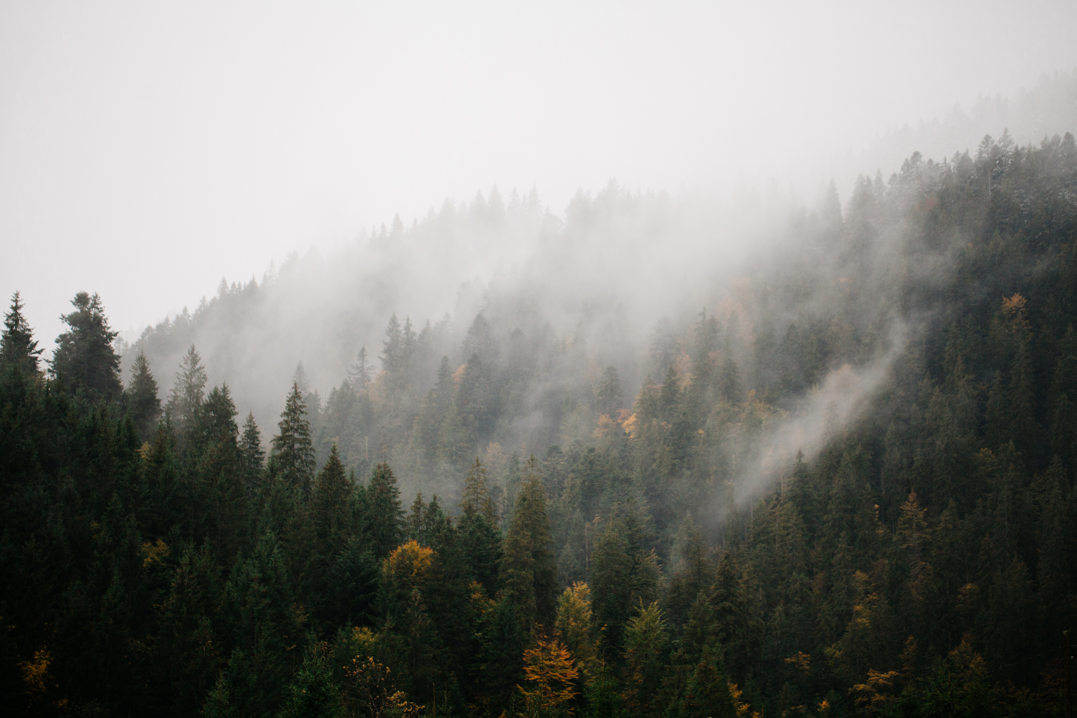 AdobeStock_123444730