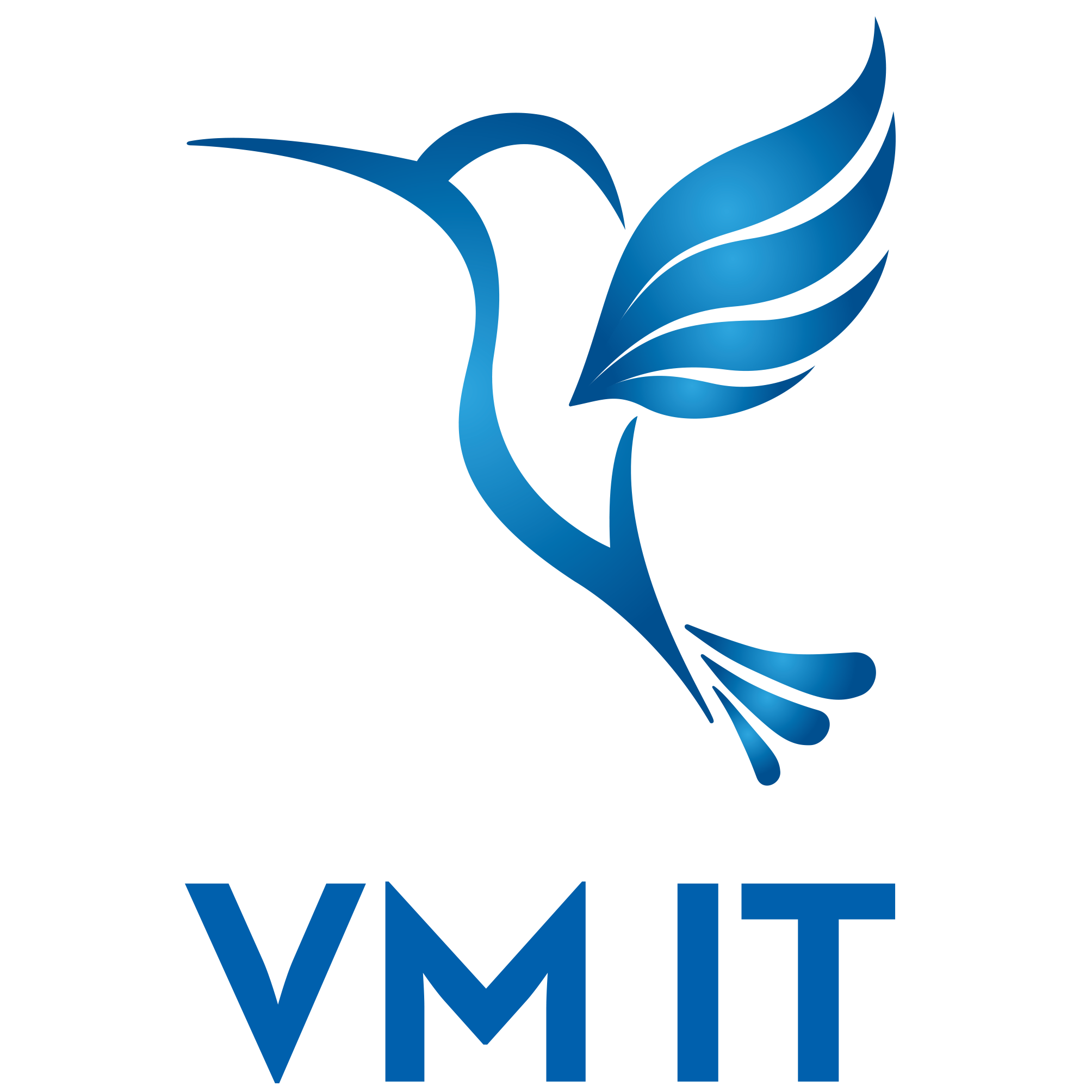 VMIT_logo-2